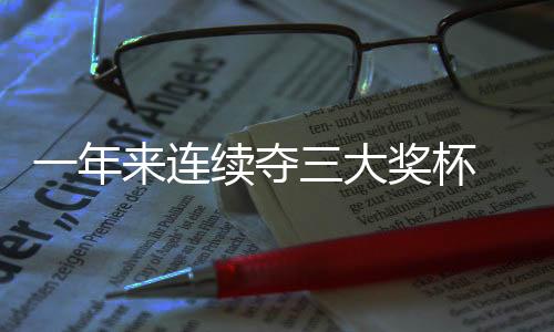 一年来连续夺三大奖杯 中国羽毛球队重回巅峰