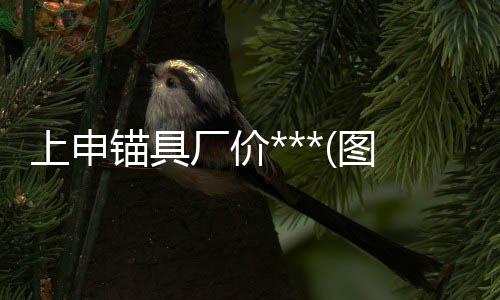 4203摆据维修周期
