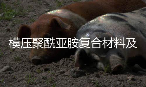 模压聚酰亚胺复合材料及保持架