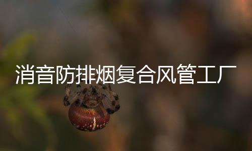 畅呼***呼吸机专卖(图)