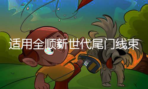 适用全顺新世代尾门线束右后门线全顺新世代V348左后门线线束配件