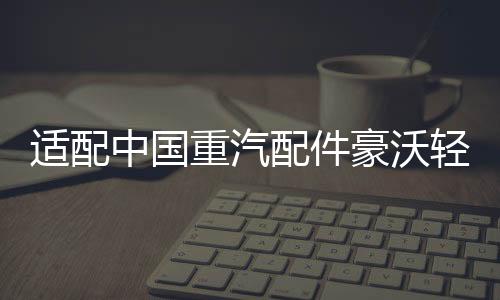 适配中国重汽配件豪沃轻卡悍将统帅玻璃升降器开关门控锁车窗开关