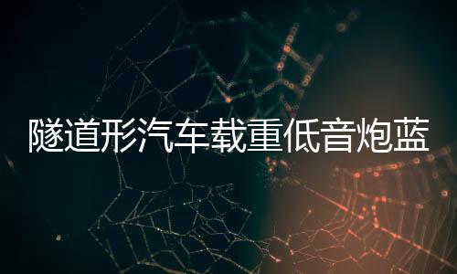 隧道形汽车载重低音炮蓝牙音响摩托货车12V24V家用220V改装小音箱