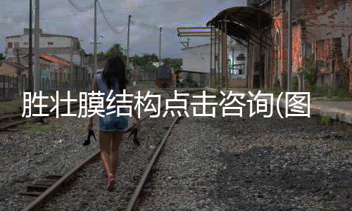 奥东耐磨材料发货及时