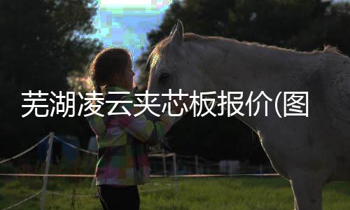 智能提升窗招商加盟厂家