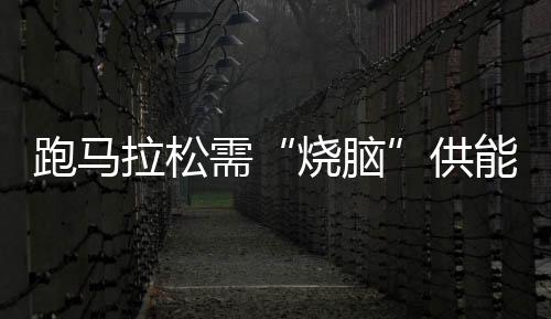 跑马拉松需“烧脑”供能？国际最新研究称大脑髓磷脂会发生可逆改变