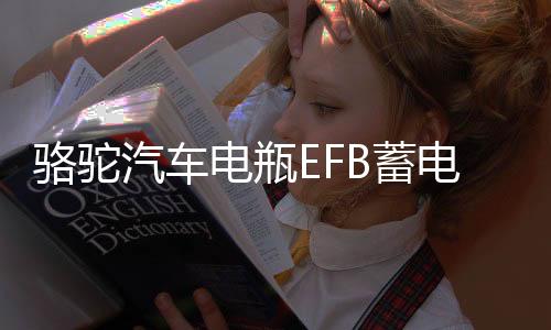 骆驼汽车电瓶EFB蓄电池60ah适配本田思域雅阁哈弗H6大众宝来专用