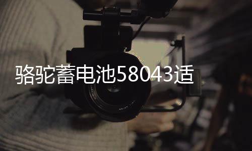骆驼蓄电池58043适用于奥迪A6宝马3系奔驰揽胜汽车电瓶 以旧换新