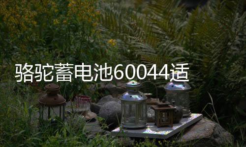 骆驼蓄电池60044适用路虎宝马7系奔驰S级100AH汽车电瓶 以旧换新